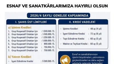 Esnaf ve Sanatkârlar Kredi ve Kefalet Kooperatifleri aracılığıyla kullandırılan Hazine