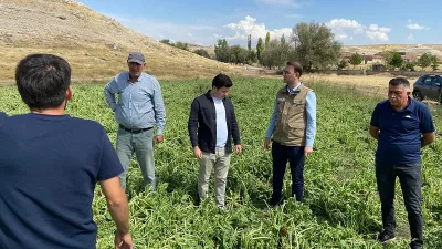 İlçe Tarım ve Orman Müdürü Levent Öncül ile ekipler, doludan