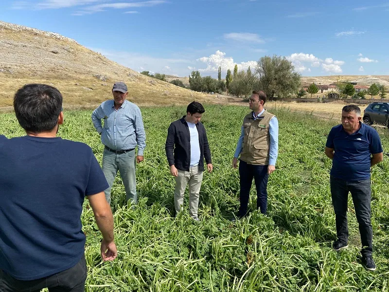 İlçe Tarım ve Orman Müdürü Levent Öncül ile ekipler, doludan
