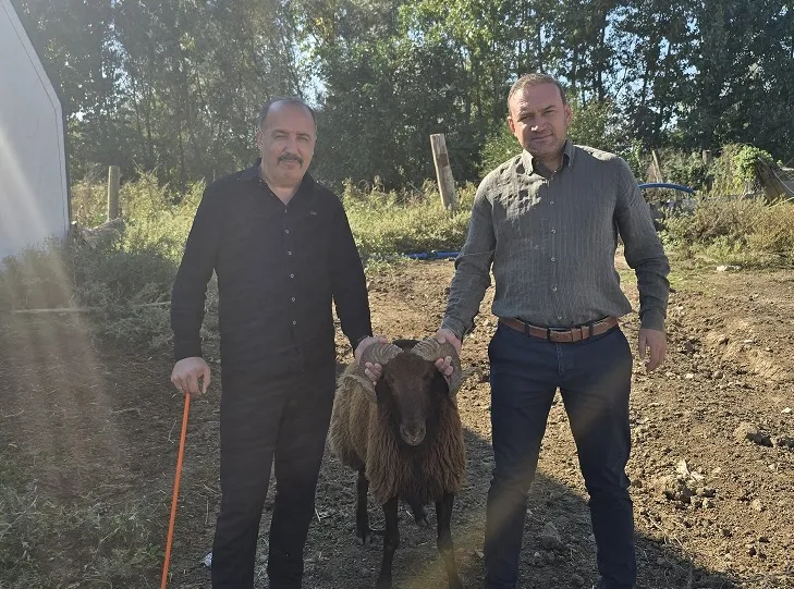 Boğazlıyanlı hayvan yetiştiricisi Kadir Sarpdağ, sürüsüne kattığı damızlık kara koyunlarla